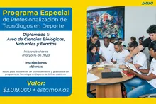 Publicación-Diplomado-II-cohorte