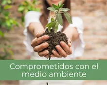 medio-ambiente.jpg